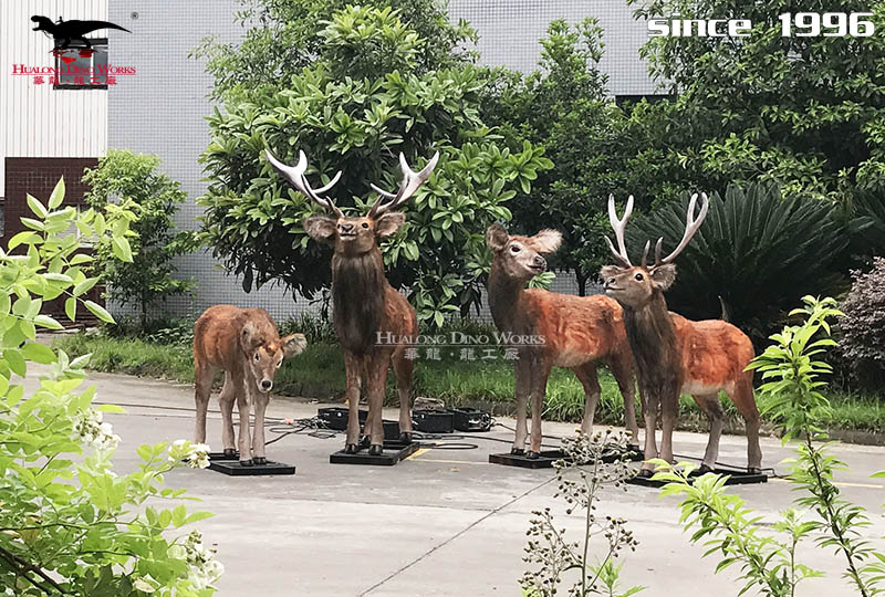 華龍科技 仿真動物模型制作廠家